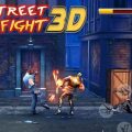 Street Fight 3D